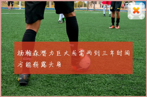 杨瀚森潜力巨大或需两到三年时间方能崭露头角